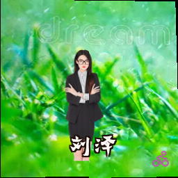 刘泽